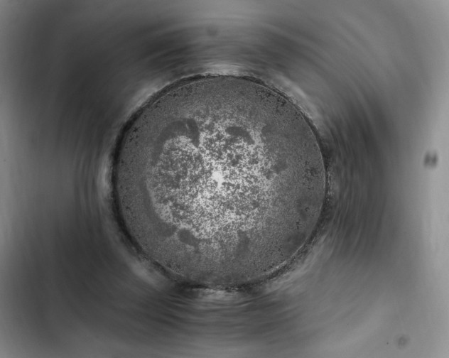 X0000103160347200808221359