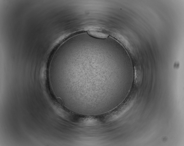 X0000103160348200808221359