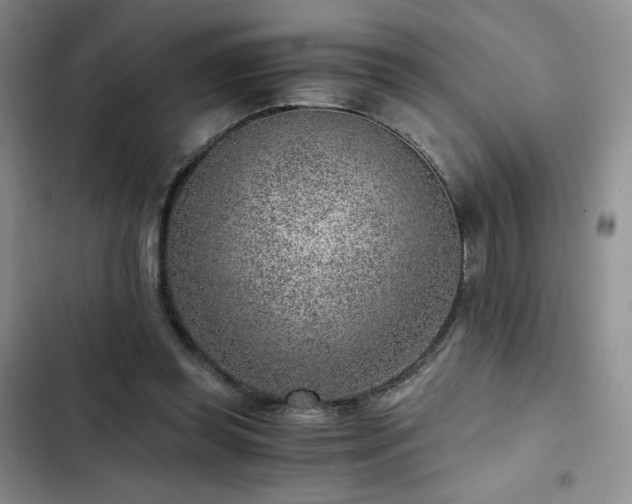 X0000103160349200808221359