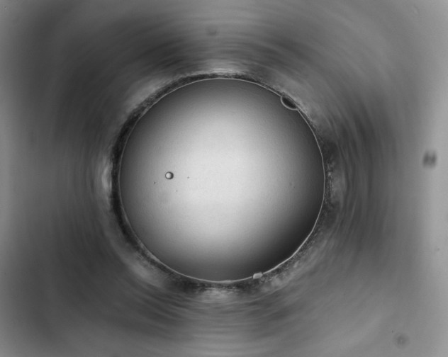 X0000103160350200808221359