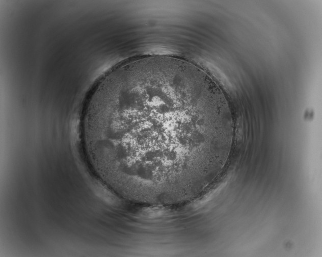 X0000103160351200808221359