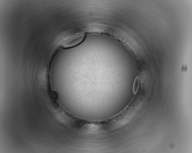 X0000103160352200808221359