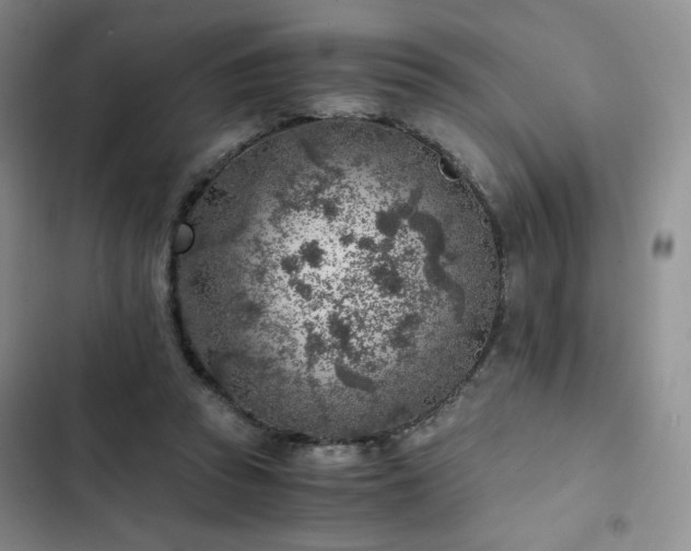 X0000103160353200808221359