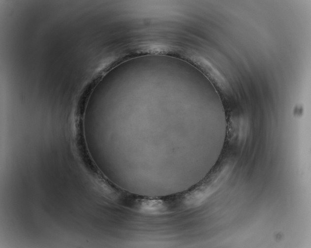 X0000103160355200808221359