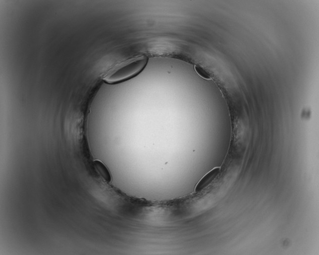 X0000103160356200808221359