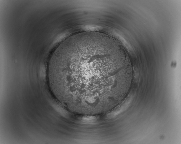 X0000103160357200808221359