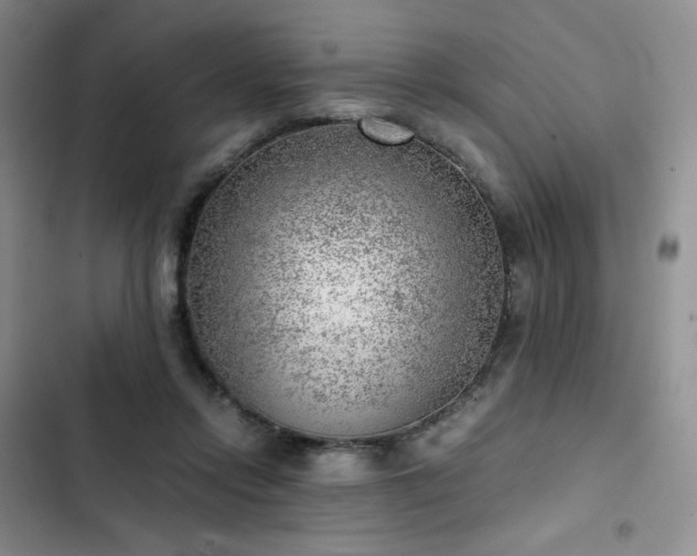 X0000103160358200808221359