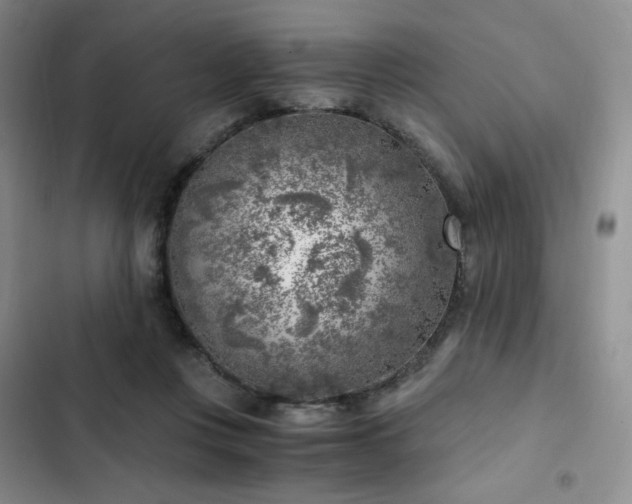 X0000103160359200808221359
