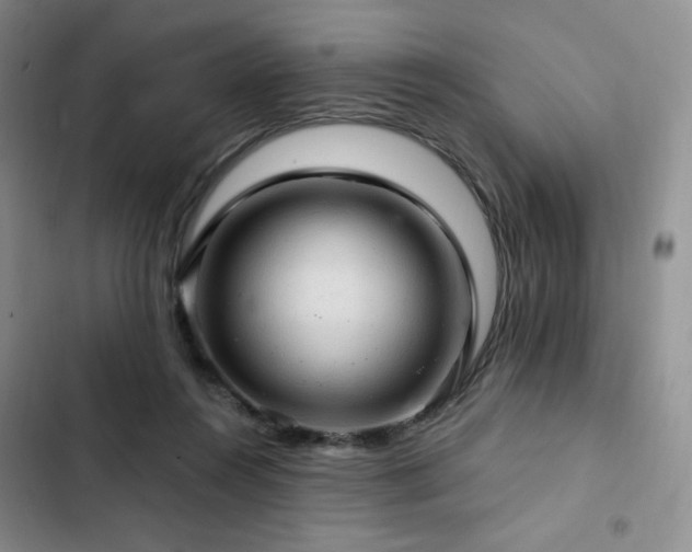X0000103160360200808221359