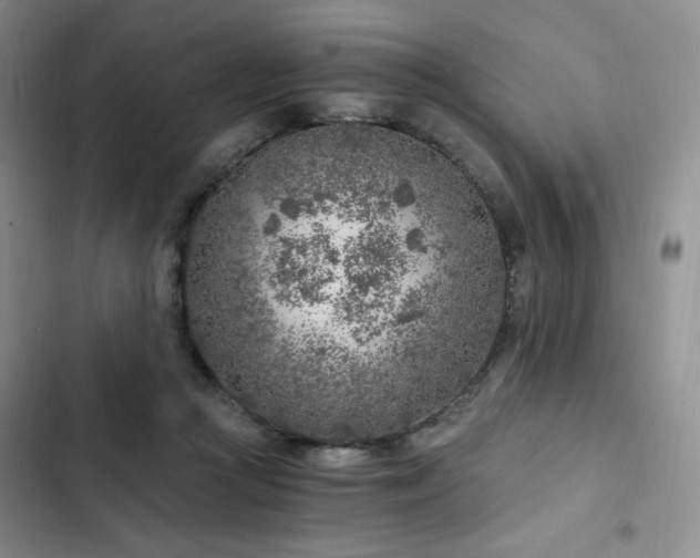 X0000103160361200808221359