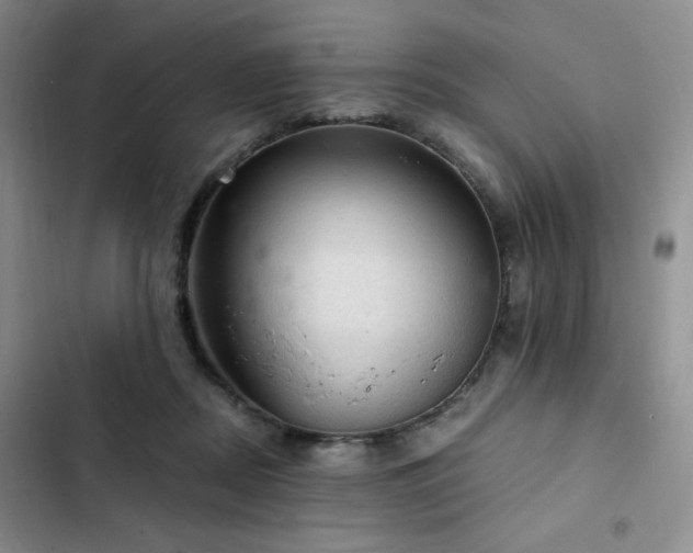 X0000103160362200808221359