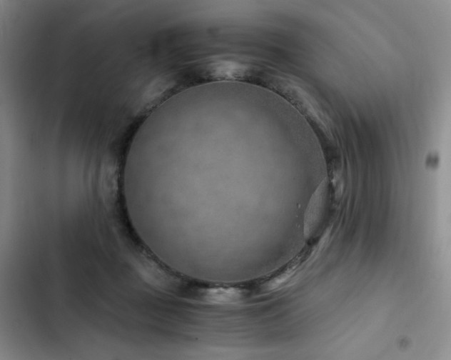 X0000103160363200808221359