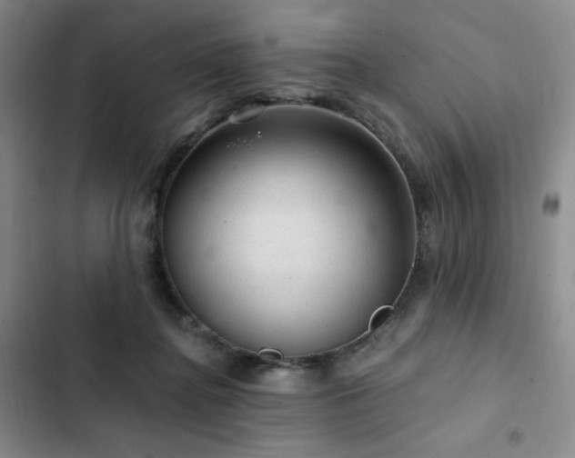 X0000103160364200808221359