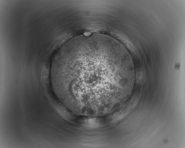 X0000103160365200808221359