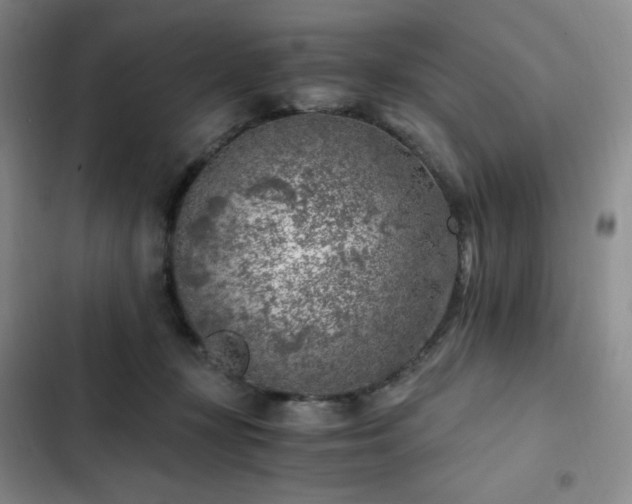 X0000103160367200808221359
