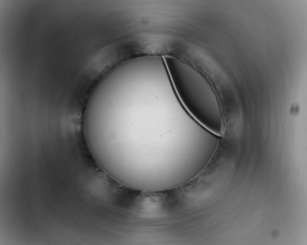 X0000103160368200808221400