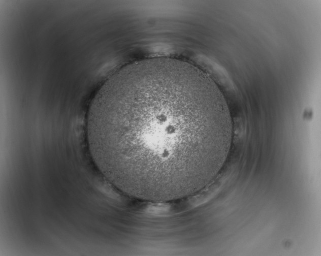 X0000103160369200808221400