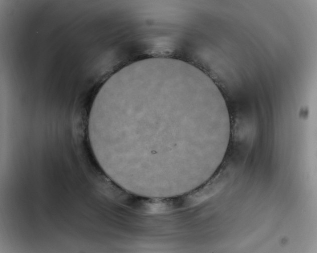 X0000103160370200808221400