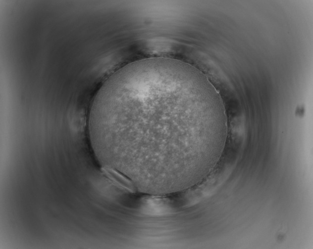 X0000103160372200808221400