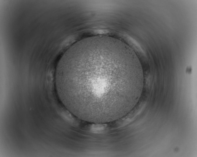 X0000103160373200808221400