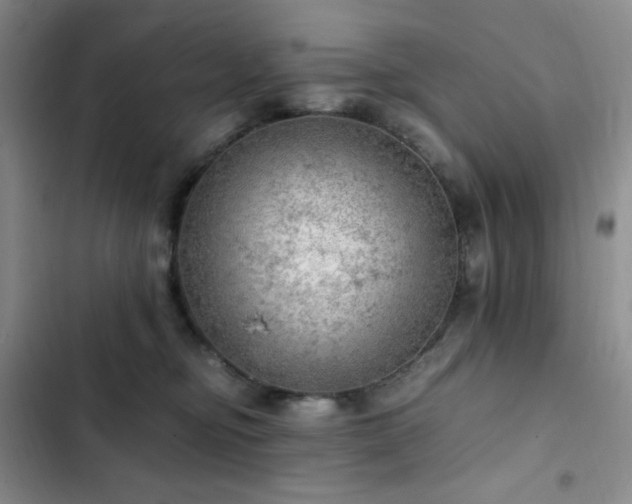 X0000103160374200808221400