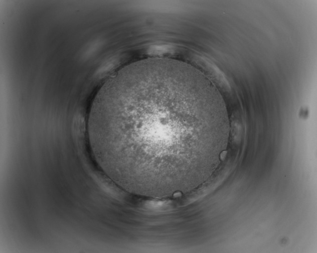 X0000103160375200808221400