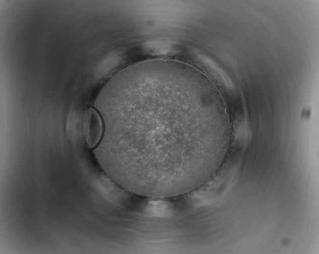 X0000103160376200808221400