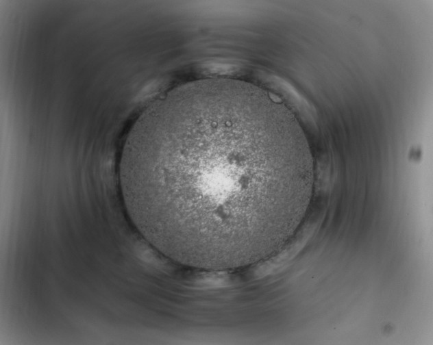 X0000103160377200808221400