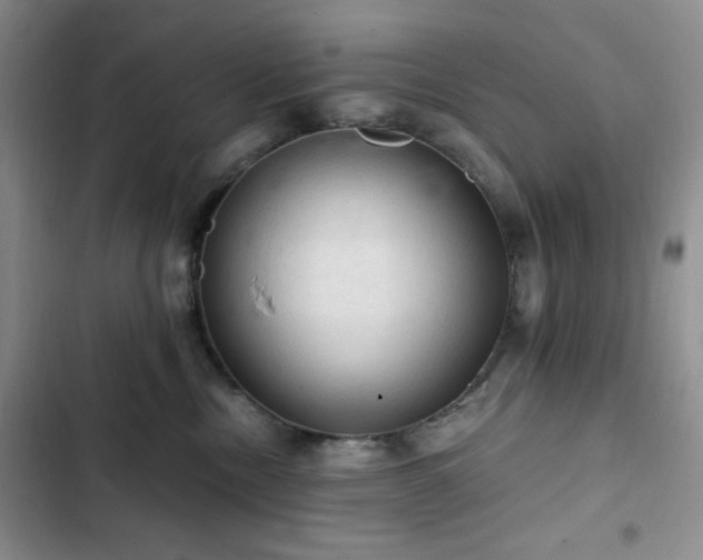 X0000103160378200808221400