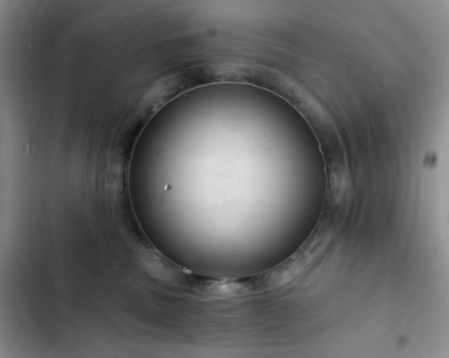 X0000103160379200808221400