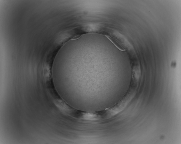 X0000103160380200808221400