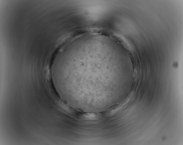 X0000103160381200808221400