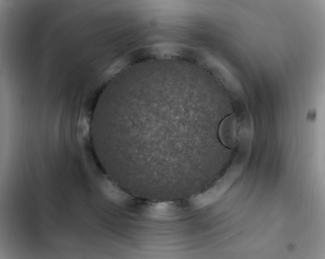 X0000103160382200808221400