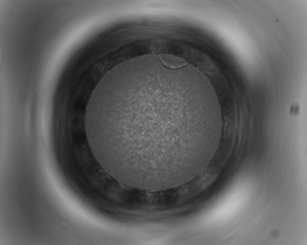 X0000103160383200808221400
