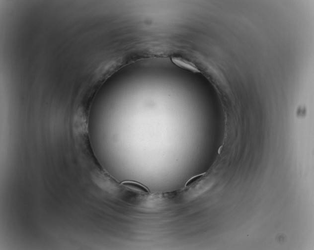 X0000103160384200808221400