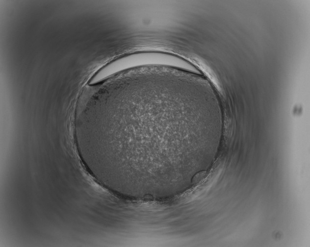 X0000103160385200808221359