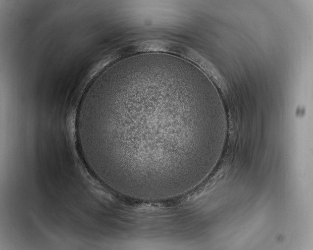 X0000103160386200808221359
