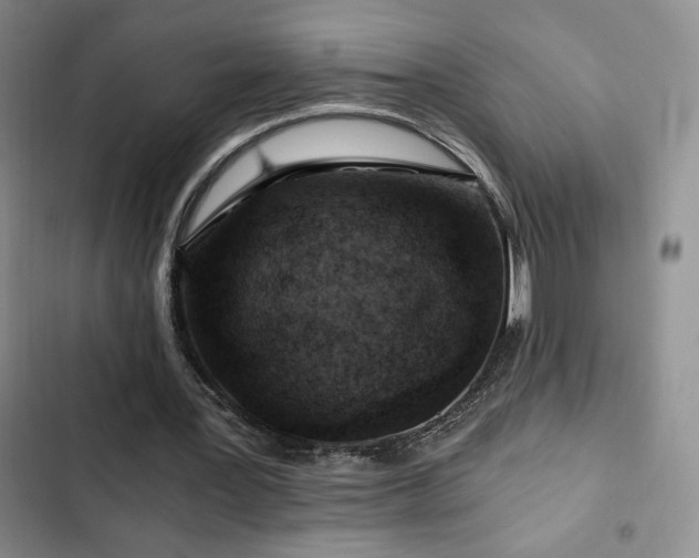 X0000103160387200808221359