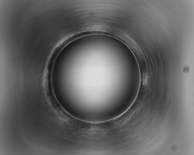 X0000103160388200808221359