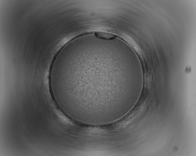 X0000103160389200808221359