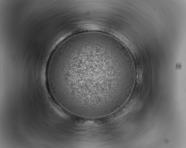 X0000103160390200808221359