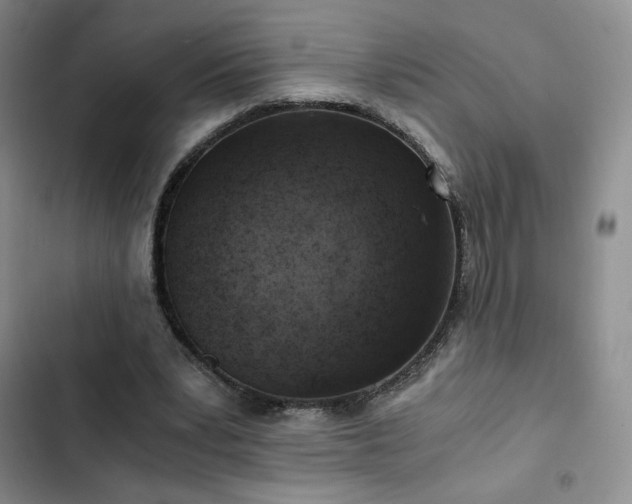 X0000103160391200808221359