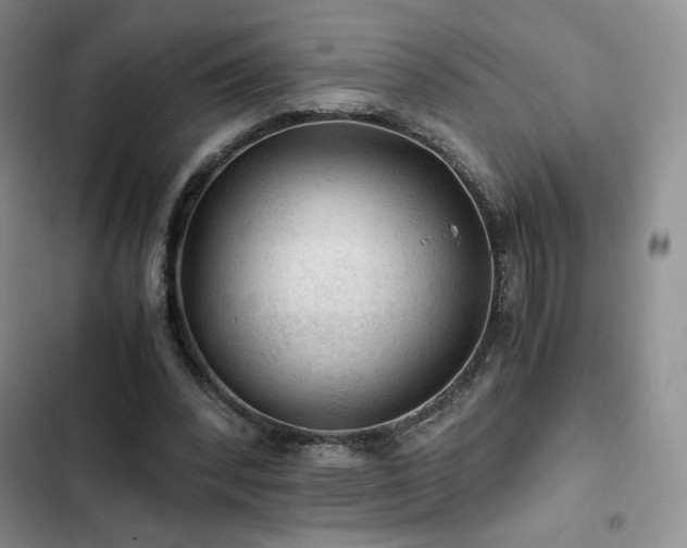 X0000103160392200808221359