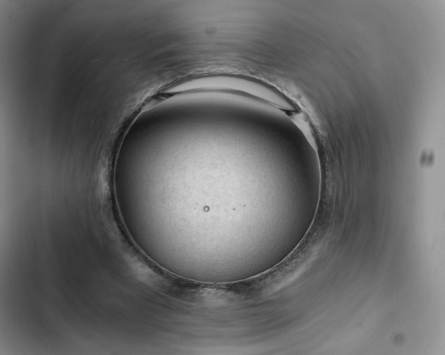 X0000103160393200808221359