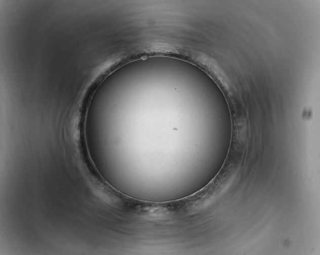 X0000103160395200808221359