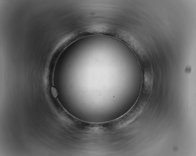 X0000103160396200808221359