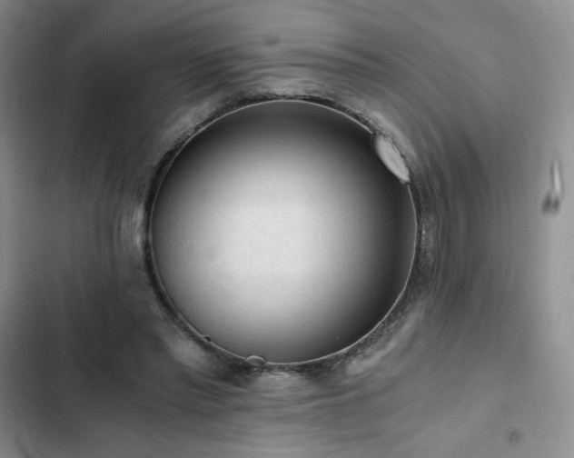 X0000103160397200808221359