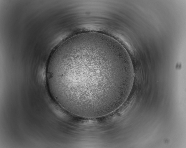 X0000103160398200808221359