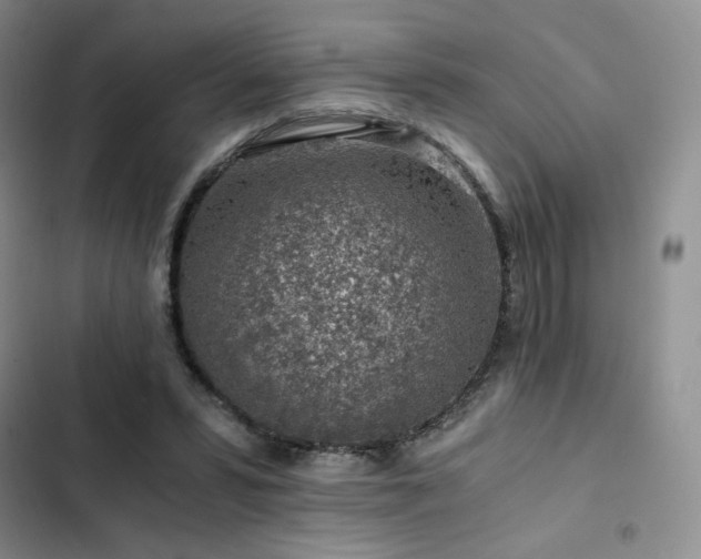X0000103160399200808221359