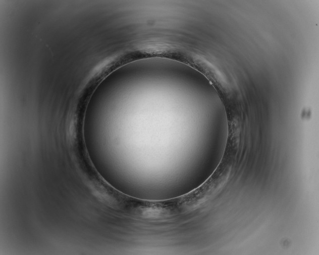 X0000103160400200808221359